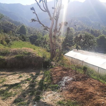 Parvatiya Homestay 穆索里 外观 照片